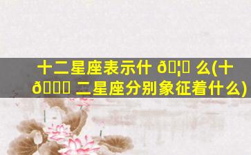 十二星座表示什 🦊 么(十 🐎 二星座分别象征着什么)